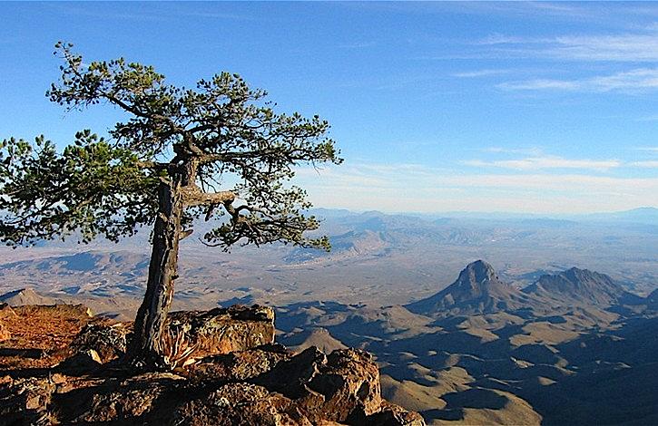 Big_Bend2.jpg